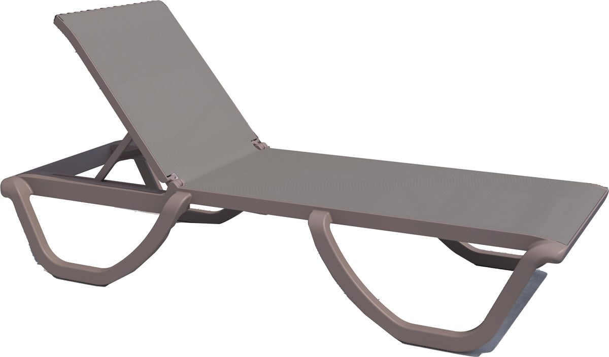 Florence Set of 2 Chaise Lounger - Cappucino - Cappucino Sling
