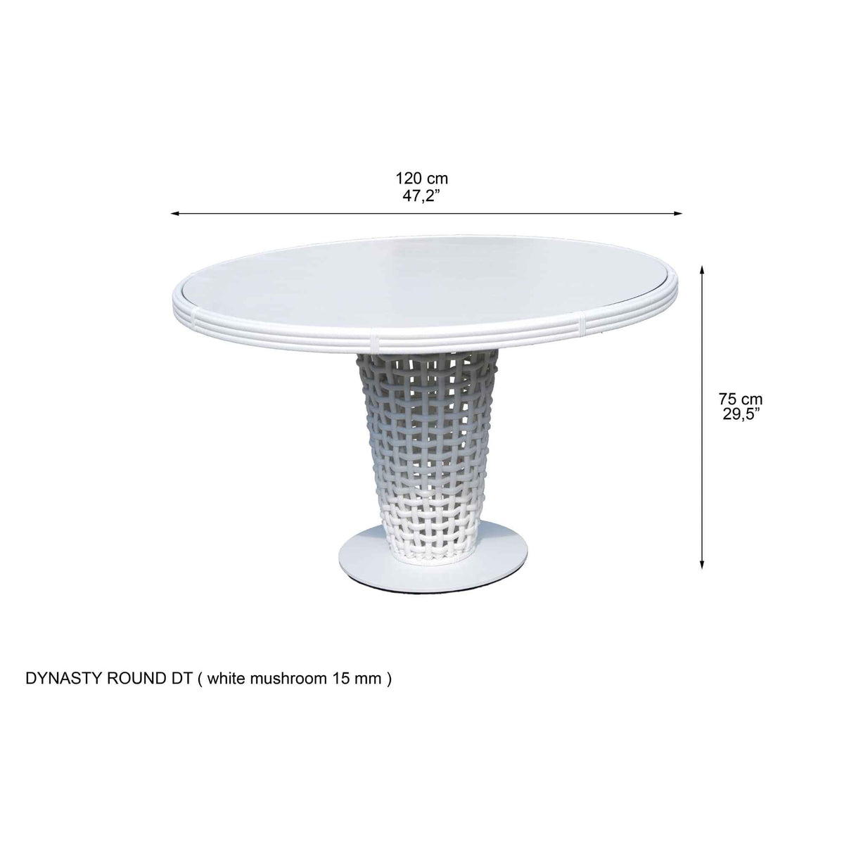 Dynasty 5-Piece Dining Set with Sunbrella Cushion